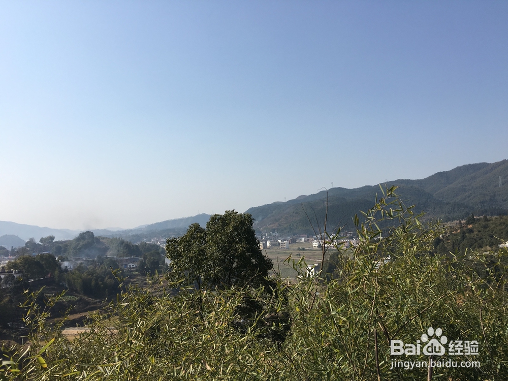 端午放假去哪玩好