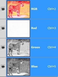 怎么用Photoshop的渠道和颜色