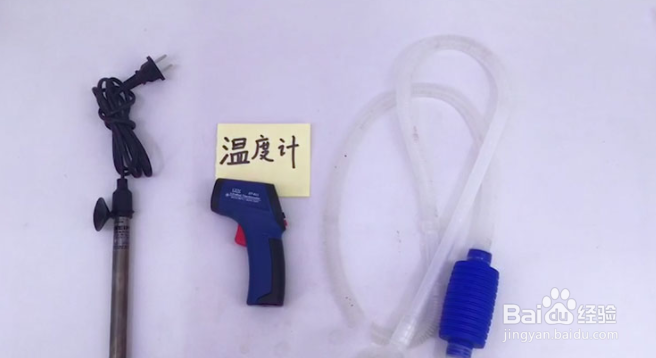 小鱼缸换水的正确方法