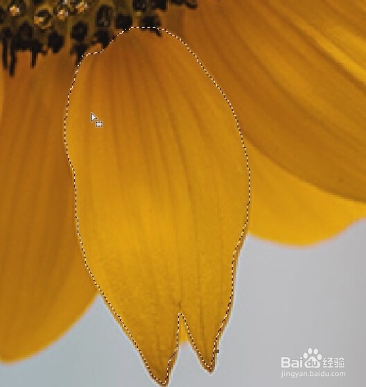 photoshop入门教程（23）