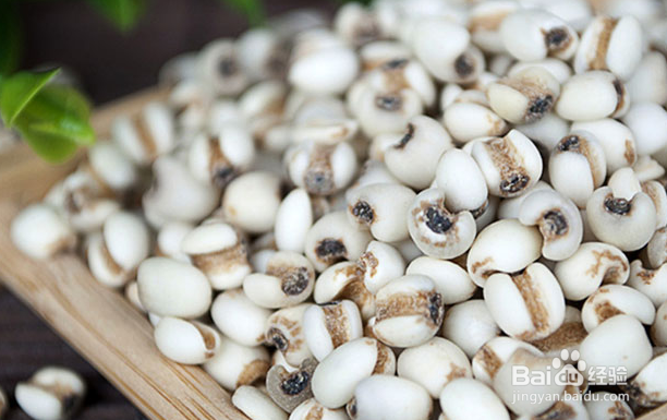 体内湿气重吃什么？