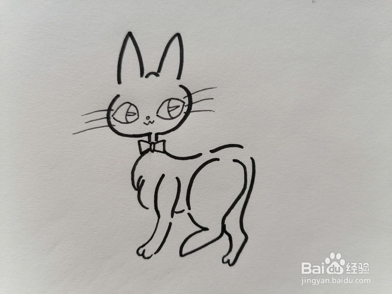 优雅的猫怎么画