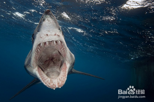 不要的手机丢之前要注意什么？