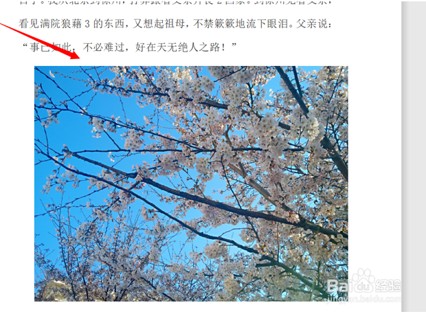 Word文字技巧—如何设置文字环绕图片