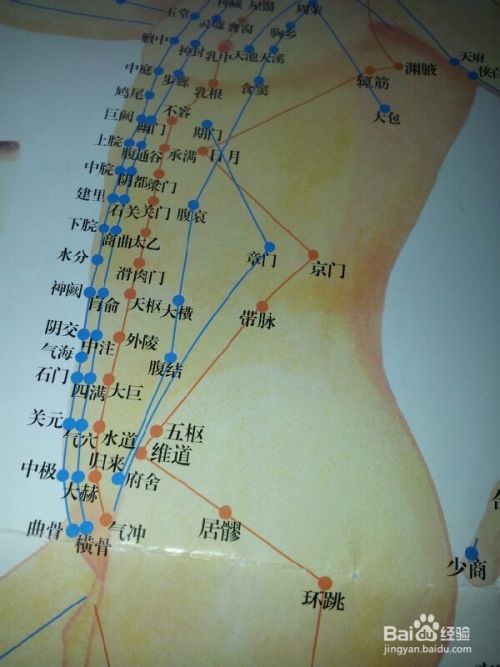 带脉穴:带脉穴位于腰两侧,也就是我们所说的游泳圈的地方,经常敲带脉