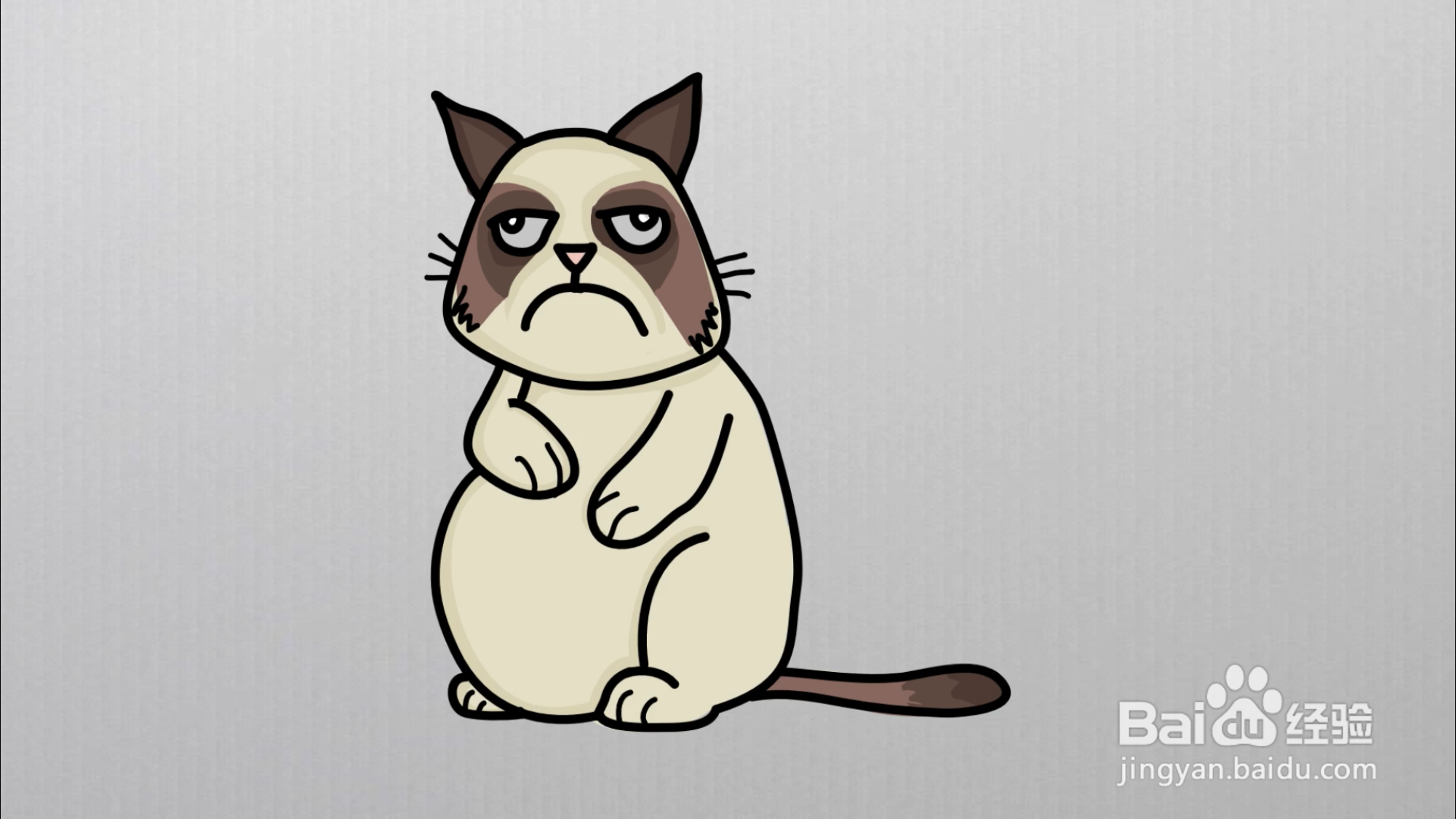 猫应该怎么画