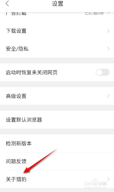 猎豹浏览器怎么查看版本号