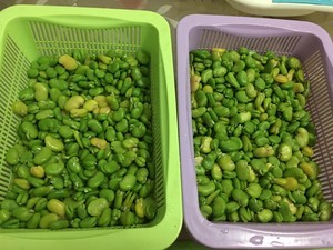 保存蚕豆的最佳方法