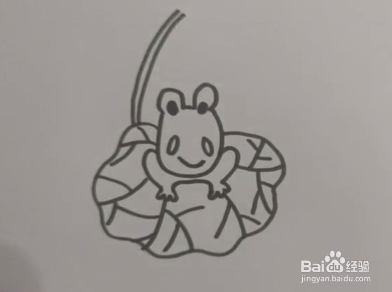 简笔画遮阳的青蛙