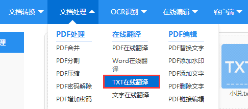 怎么将英文的txt文本翻译成中文