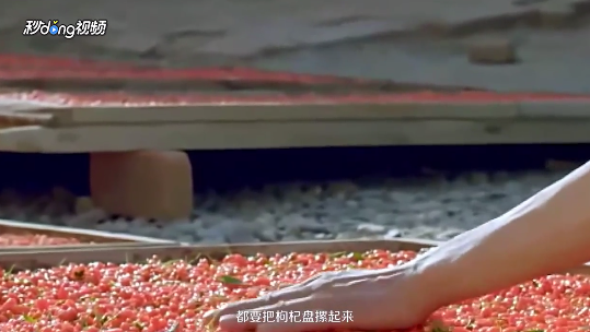 中宁枸杞的保存方法