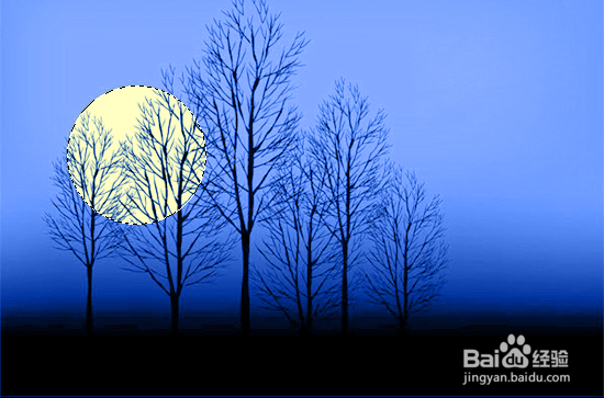 如何运用Photoshop调整图像色彩