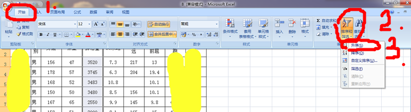 Excel中怎样对数据进行排序