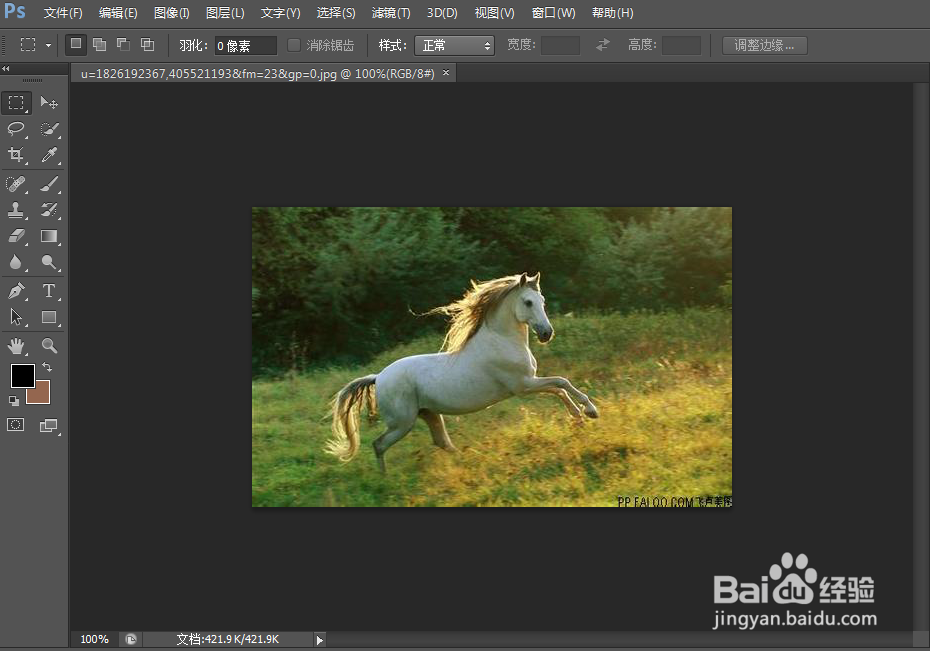 photoshop cs6制作照片水彩特效