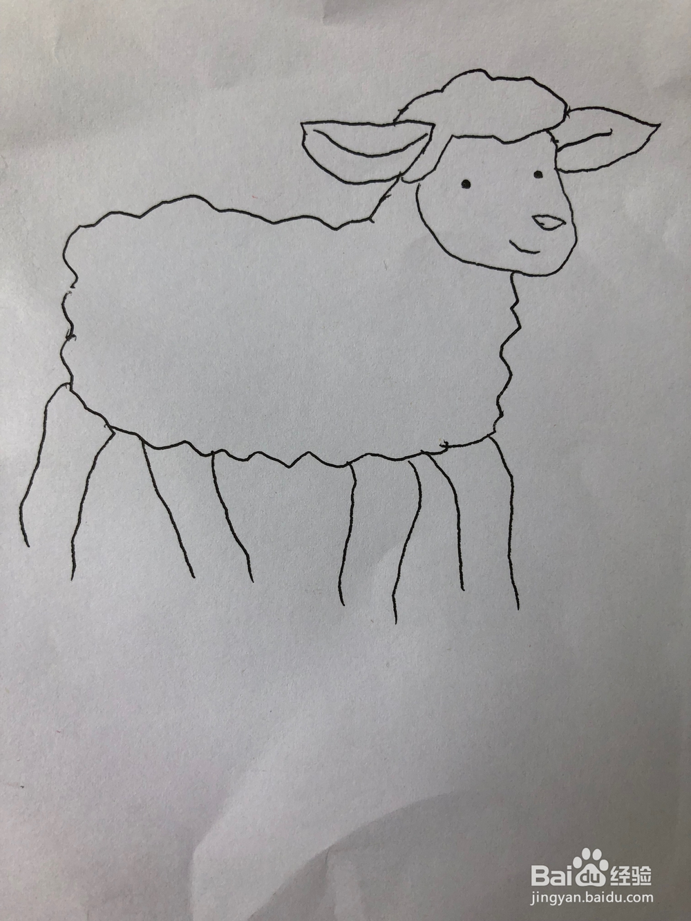 小羊的简笔画