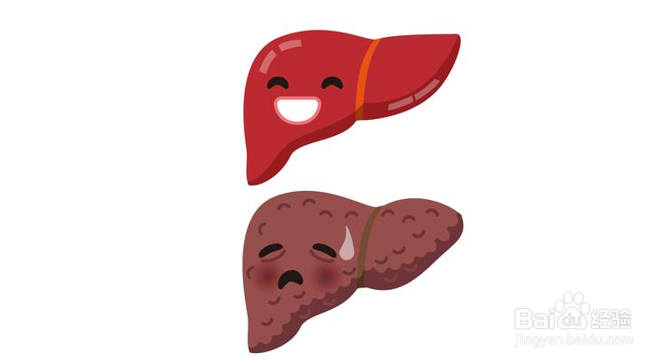 怎么有效的养肝护肝