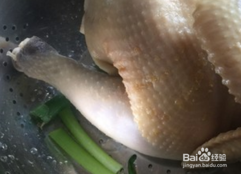 如何烹饪槽香三黄鸡？