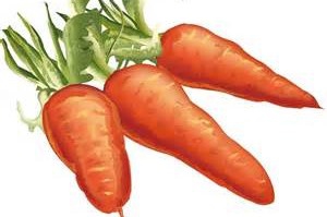 怎么保护眼睛，防近视？