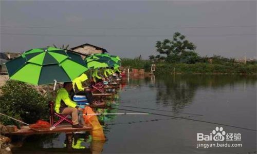 钓鱼要注意哪些地方？