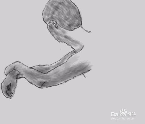 人体素描的教程