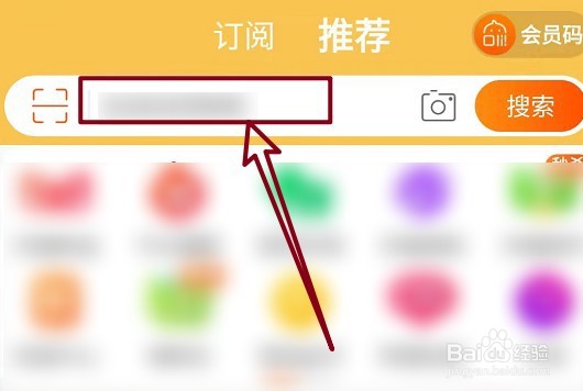 铁线莲怎么养殖方法