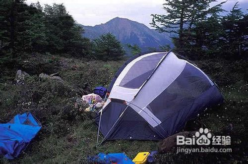 荒野中怎样快速寻找栖息地