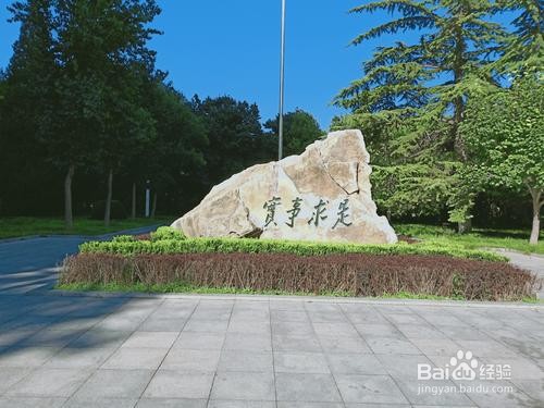 你认为怎样才算得上是成熟的人