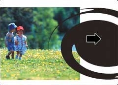 coreldraw蒙板技术详解