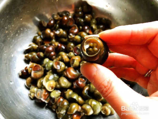 如何做出好吃美味的酱爆螺蛳