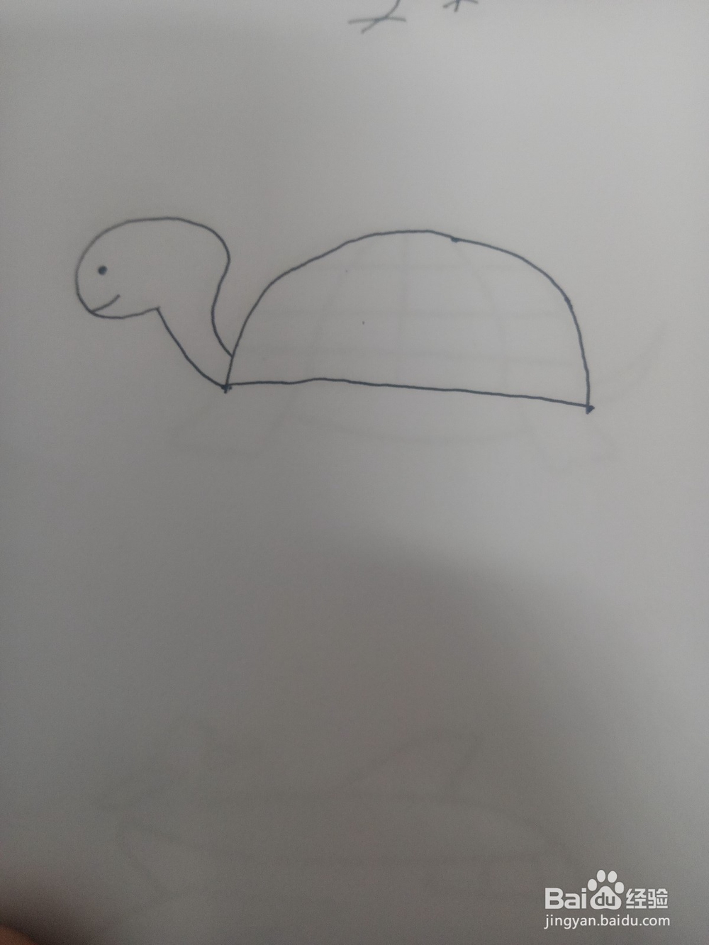 小乌龟简笔画教程