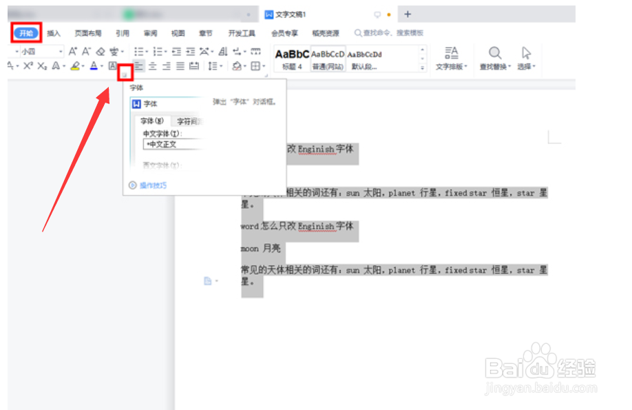 word怎么只改英文字体
