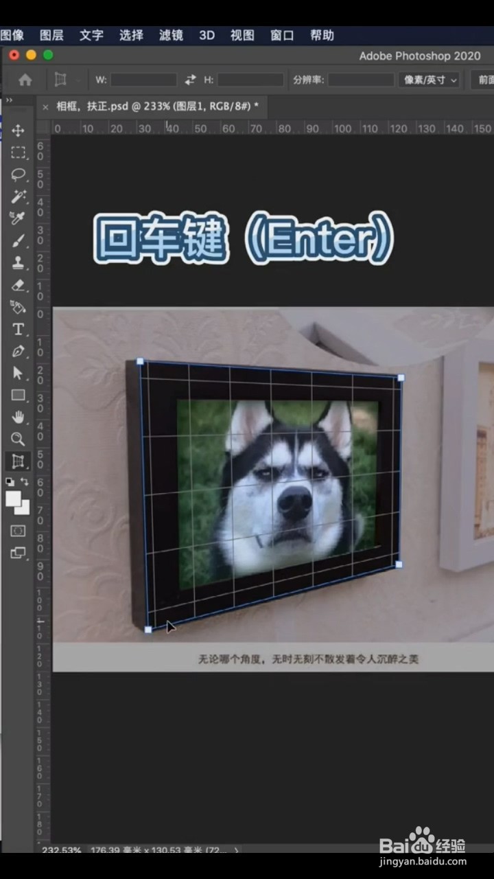 Ps中如何扶正照片？