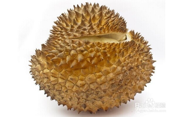怎么挑新鲜水果——怎么挑榴莲