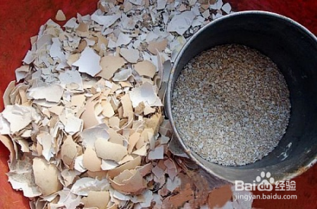 花盆上方总有虫子在飞？盆土这么处理一下，再也不见虫影了！