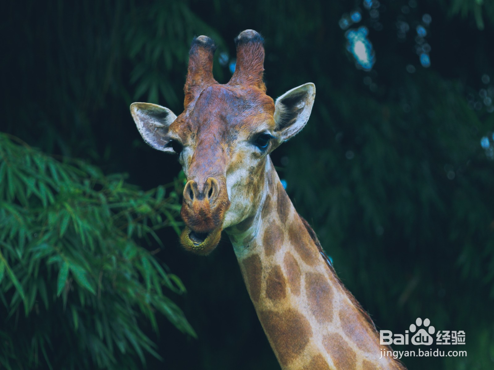 如何问女生的名字显得幽默