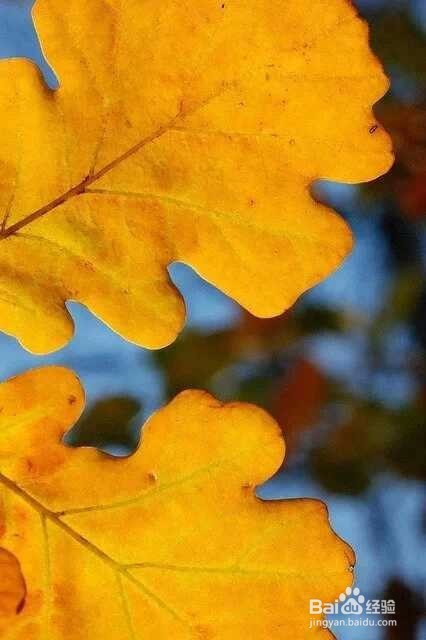 健身后不能做的事