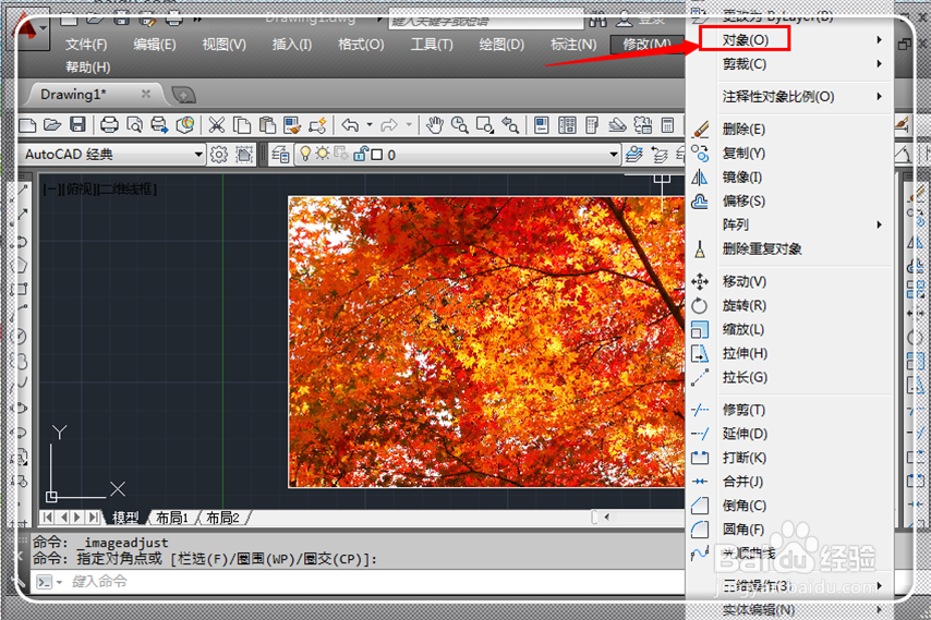 cad中插入图片怎样取消边框