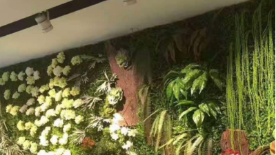 如何让植物墙更美