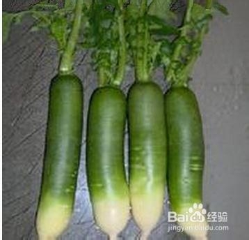 怎么挑选好吃的潍坊萝卜！