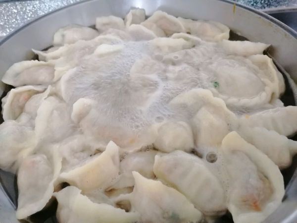 冬瓜胡萝卜海米馅饺子