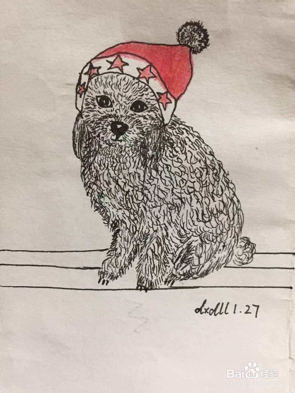 插画教程之圣诞泰迪狗