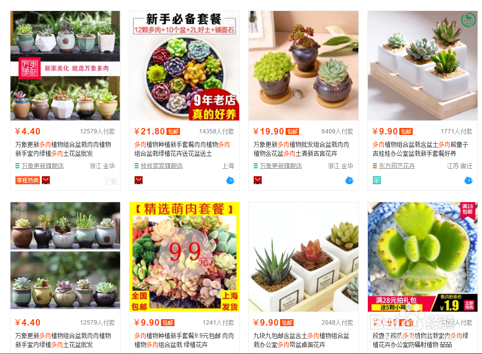 多肉植物怎么样养殖