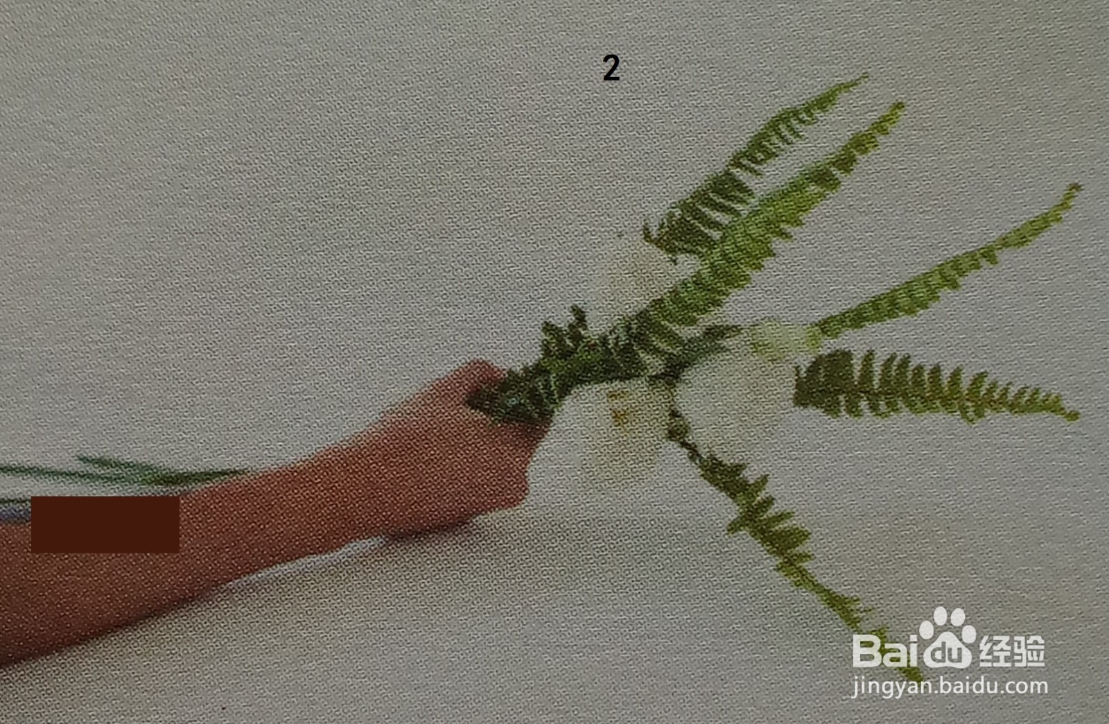白色手绑花束的插法