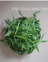 椒丝腐乳炒通菜