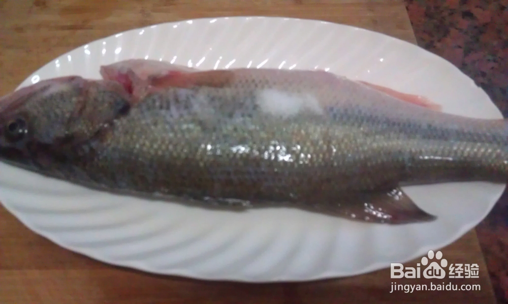 蒸功夫--油榄角蒸鲈鱼
