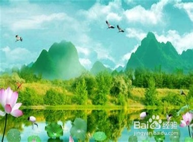 不去伤害任何人