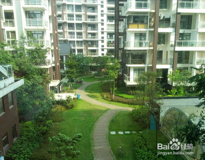 2017房价下跌的10城市