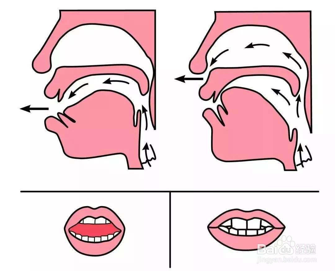 拼音翘舌平舌怎么区分