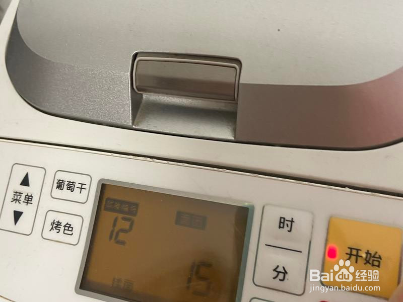 圆白菜猪肉水饺的做法