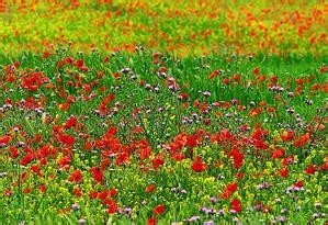 监理施工要点56